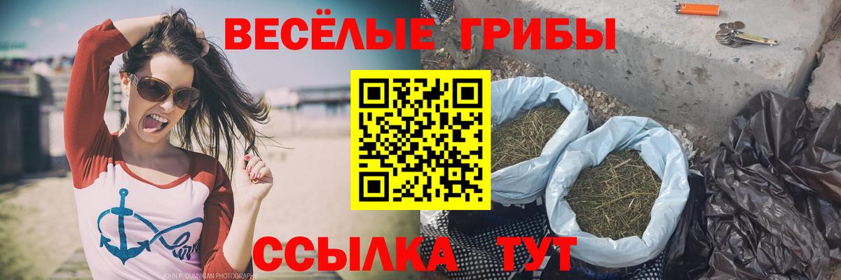 Галлюциногенные грибы MAGIC MUSHROOMS  Вход с VPN  Калуга 