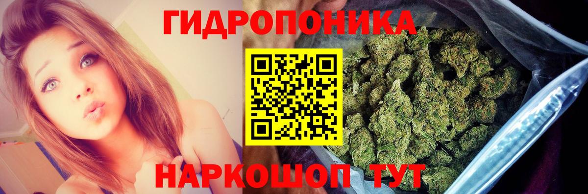 Канабис ГИДРОПОН Калуга